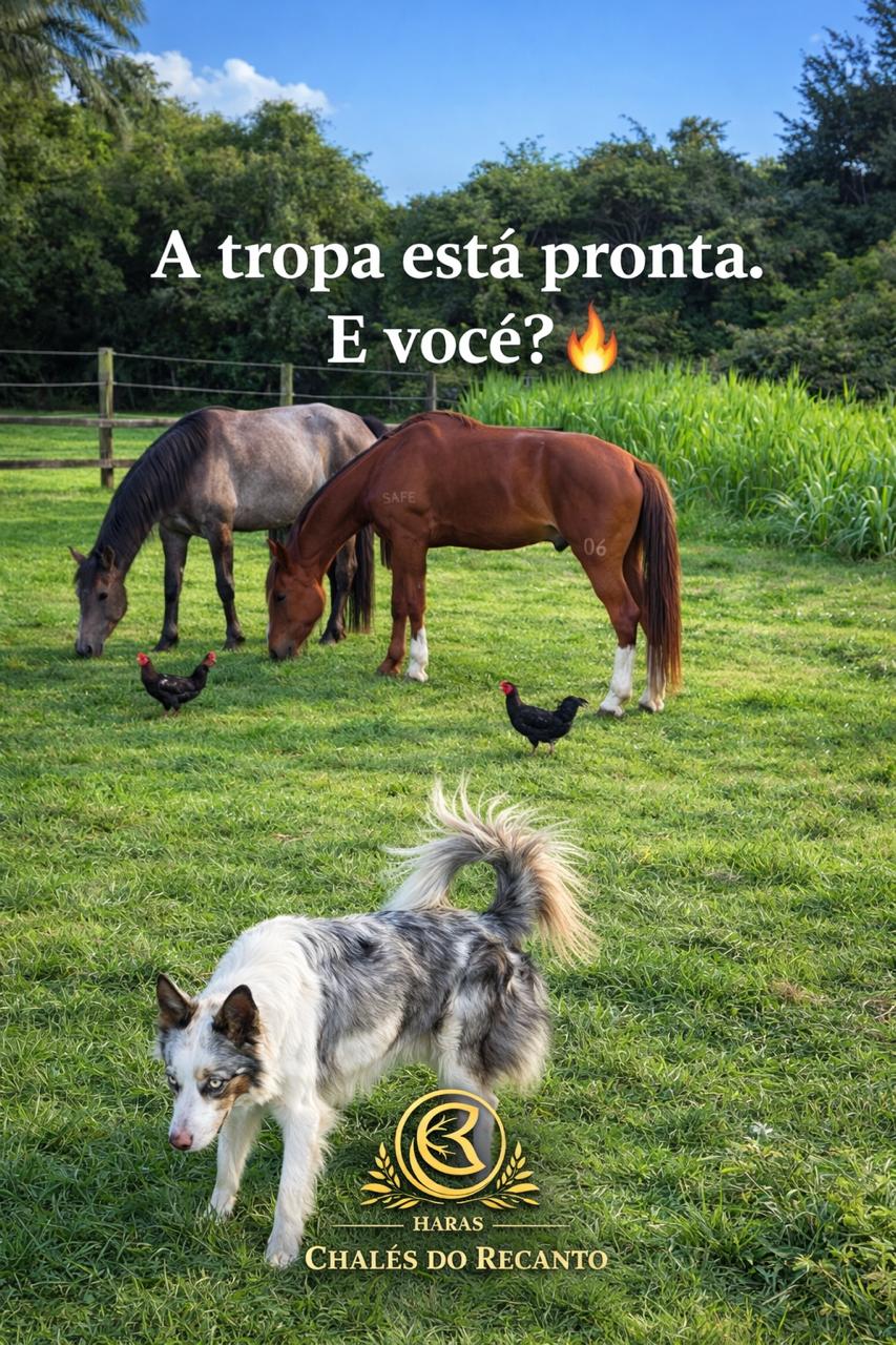 Manejo